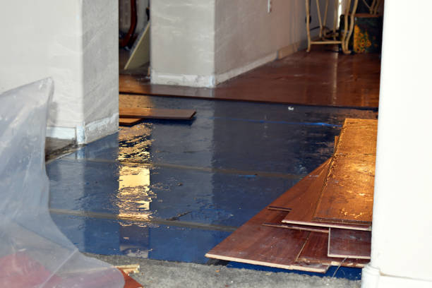 Professional Basement Flooding technician working in Keyport, NJ